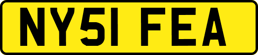 NY51FEA