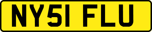 NY51FLU