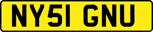 NY51GNU