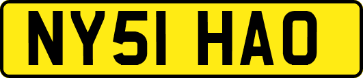 NY51HAO