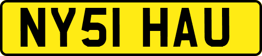 NY51HAU