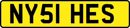 NY51HES