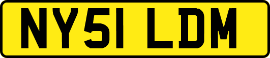 NY51LDM