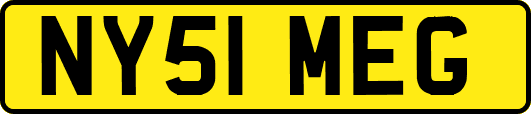 NY51MEG