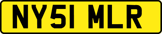 NY51MLR