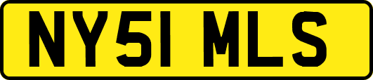 NY51MLS