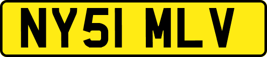 NY51MLV