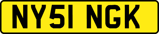 NY51NGK