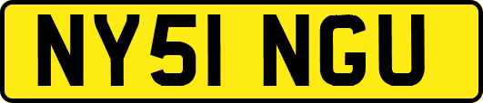 NY51NGU