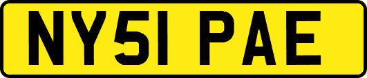 NY51PAE