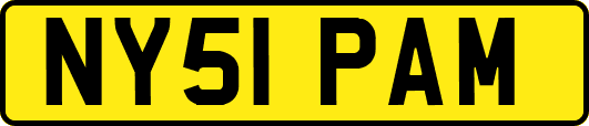 NY51PAM