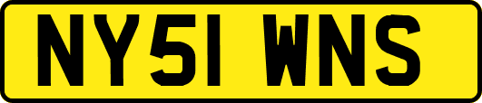 NY51WNS