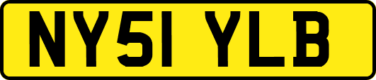 NY51YLB