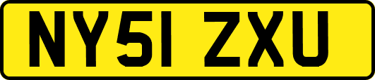 NY51ZXU
