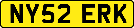 NY52ERK