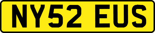 NY52EUS