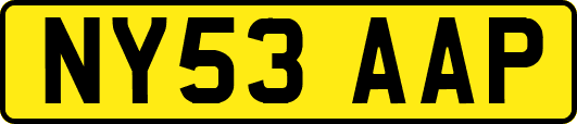 NY53AAP