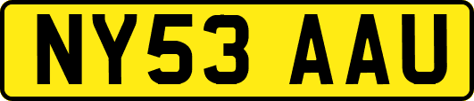 NY53AAU