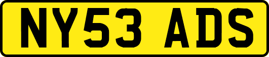 NY53ADS