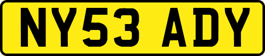 NY53ADY