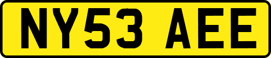 NY53AEE