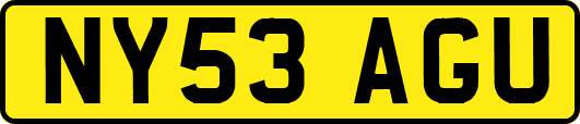 NY53AGU