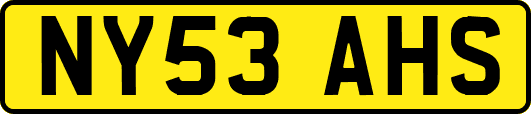 NY53AHS