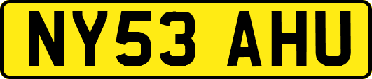 NY53AHU