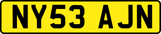 NY53AJN