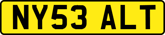 NY53ALT