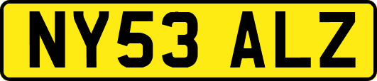 NY53ALZ