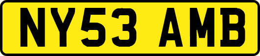 NY53AMB