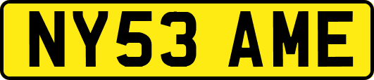 NY53AME