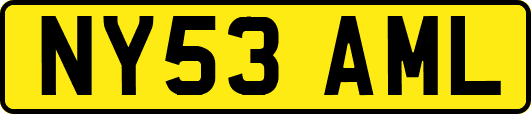 NY53AML