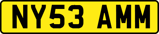 NY53AMM