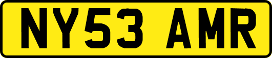 NY53AMR