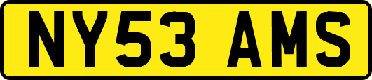 NY53AMS
