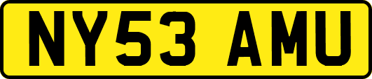 NY53AMU