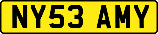 NY53AMY