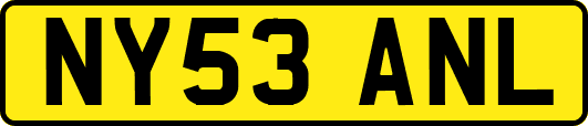 NY53ANL