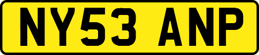 NY53ANP