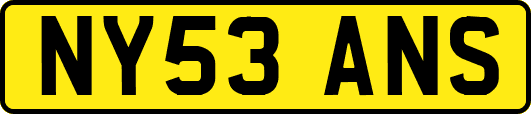 NY53ANS