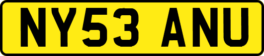 NY53ANU