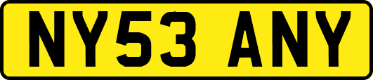 NY53ANY