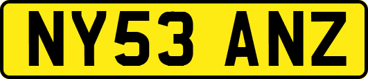 NY53ANZ