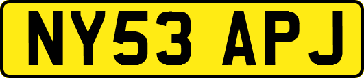 NY53APJ