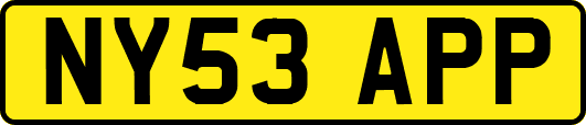 NY53APP