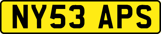 NY53APS