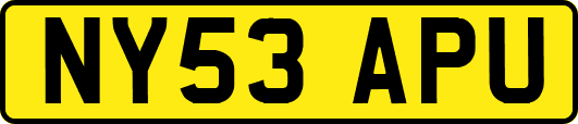 NY53APU
