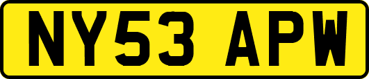 NY53APW